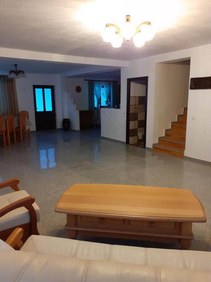 Pensiunea Natura Sadu Сибиу Екстериор снимка