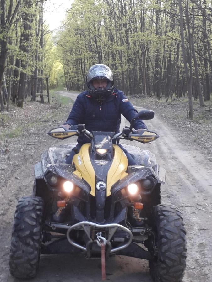 Pensiunea Natura Sadu Сибиу Екстериор снимка