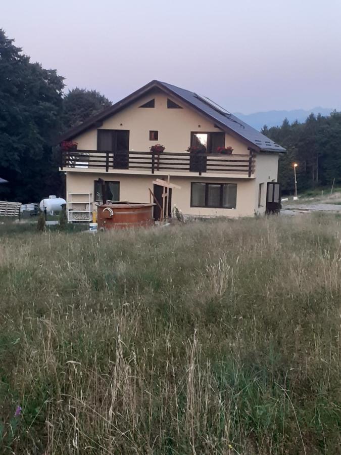 Pensiunea Natura Sadu Сибиу Екстериор снимка