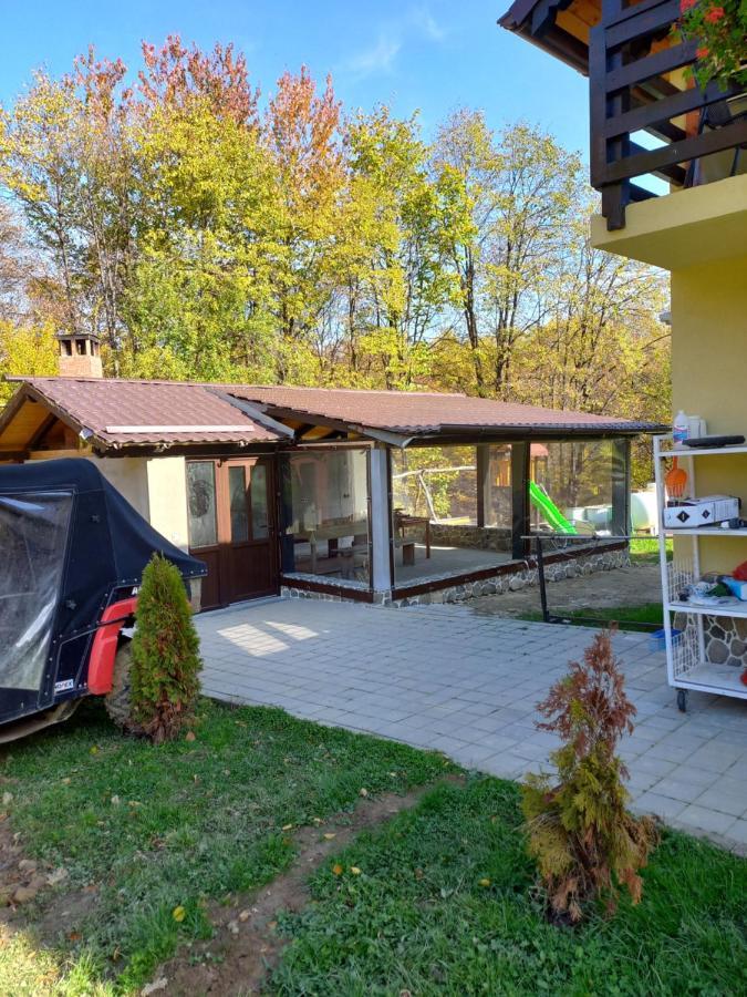 Pensiunea Natura Sadu Сибиу Екстериор снимка